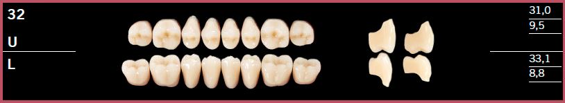 32U-C1 DELARA TEETH UPPER POSTERIOR