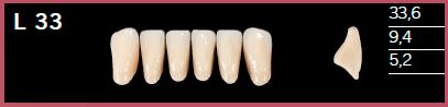 L33-A1 DELARA TEETH LOWER ANTERIOR