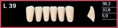 L39-D4 DELARA TEETH LOWER ANTERIOR