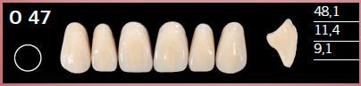 O47-D4 DELARA TEETH UPPER ANTERIOR