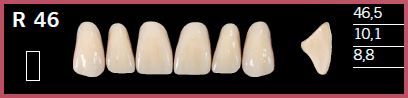 R46-D4 DELARA TEETH UPPER ANTERIOR