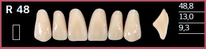 R48-A1 DELARA TEETH UPPER ANTERIOR