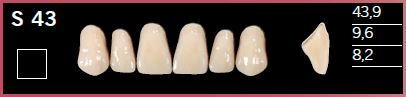 S43-D3 DELARA TEETH UPPER ANTERIOR
