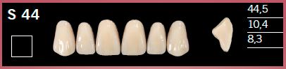 S44-A1 DELARA TEETH UPPER ANTERIOR
