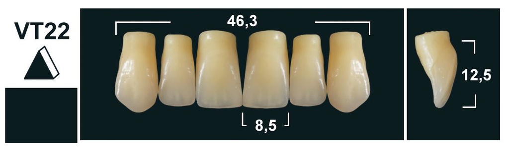 VT22 A1 UPPER ANTERIOR TRIBOS TEETH