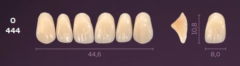O444-A2 MONDIAL TEETH UPPER ANTERIOR