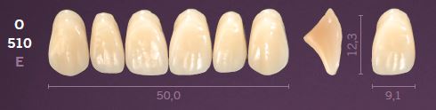 O510-A4 MONDIAL TEETH UPPER ANTERIOR