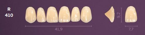 R410-A35 MONDIAL TEETH UPPER ANTERIOR