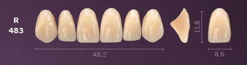 R483-C2 MONDIAL TEETH UPPER ANTERIOR