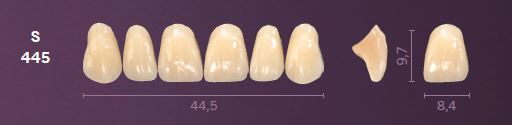 S445-D2 MONDIAL TEETH UPPER ANTERIOR