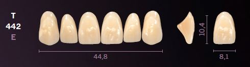 T442-D4 MONDIAL TEETH UPPER ANTERIOR