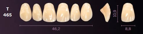 T465-A1 MONDIAL TEETH UPPER ANTERIOR