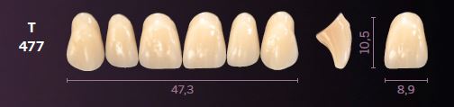T477-C4 MONDIAL TEETH UPPER ANTERIOR