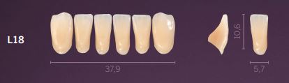 L18-A2 PREMIUM TEETH LOWER ANTERIOR