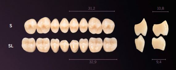 S-A3U PREMIUM TEETH UPPER POSTERIOR