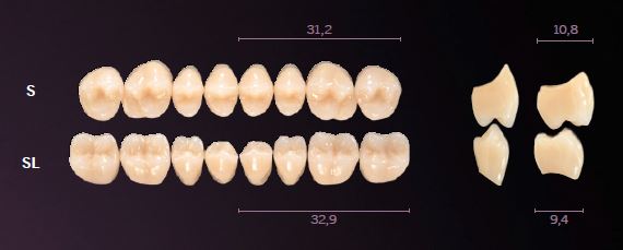 SL-D4L PREMIUM TEETH LOWER POSTERIOR