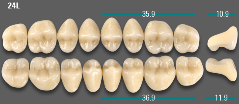 VITA VIONIC VIGO Posterior, 0M1, 24L UK