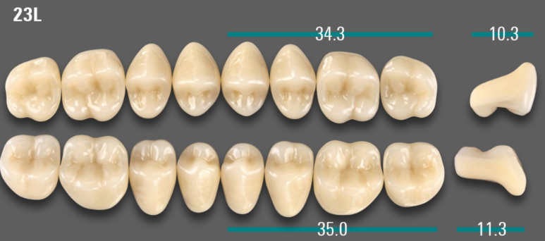 VITA VIONIC VIGO Posterior, A3.5, 23L OK