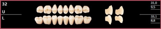 [DL32LBL3] 32L-BL3 DELARA TEETH LOWER POSTERIOR