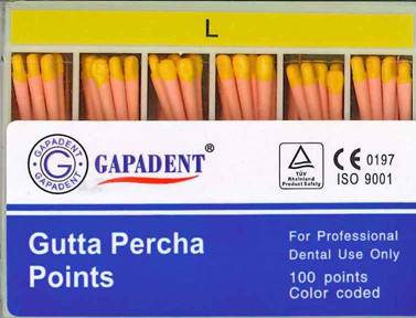 [GAGPAL] GUTTA PERCHA POINTS L ACCESSORY BOX 100