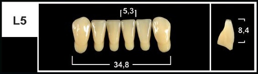 [GBL5-C3L] L5 C3 LOWER ANTERIOR TRIBOS TEETH