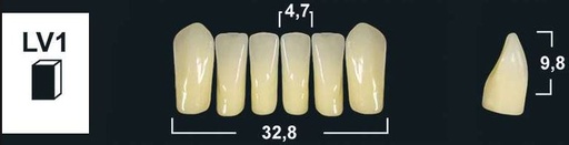 [GBLV1-A1L] LV1 A1 LOWER ANTERIOR TRIBOS TEETH