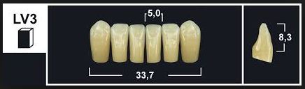 [GBLV3-A35L] LV3 A35 LOWER ANTERIOR TRIBOS TEETH