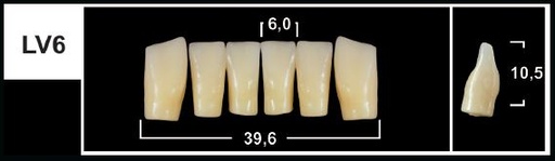 [GBLV6-A1L] LV6 A1 LOWER ANTERIOR TRIBOS TEETH