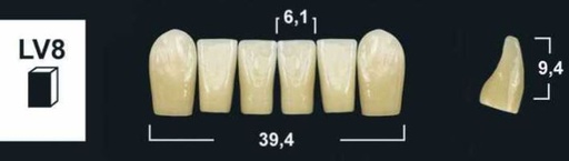 [GBLV8-A1L] LV8 A1 LOWER ANTERIOR TRIBOS TEETH