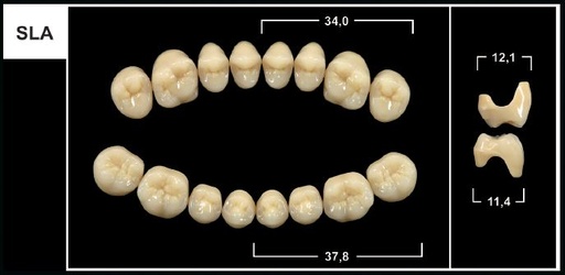 [GBSLA-B4U] SLA B4 UPPER POSTERIOR TRIBOS TEETH