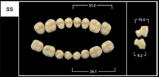 [GBSS-A3L] SS A3 LOWER POSTERIOR TRIBOS TEETH