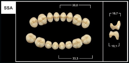 [GBSSA-A2U] SSA A2 UPPER POSTERIOR TRIBOS TEETH