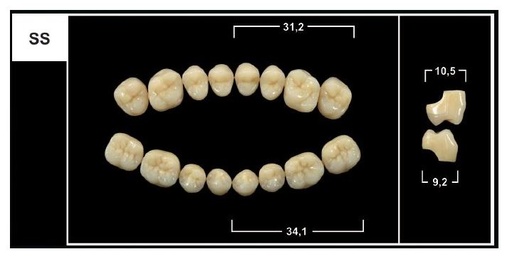 [GBSS-BL3U] SS BL3 UPPER POSTERIOR TRIBOS TEETH