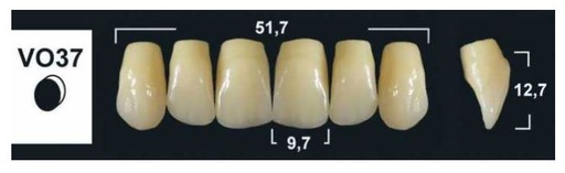 [GBVO37-BL3] VO37 BL3 UPPER ANTERIOR TRIBOS TEETH