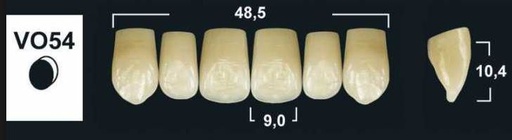 [GBVO54-A2U] VO54 A2 UPPER ANTERIOR TRIBOS TEETH