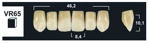 [GBVR65-BL3] VR65 BL3 UPPER ANTERIOR TRIBOS TEETH