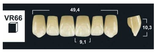 [GBVR66-BL3] VR66 BL3 UPPER ANTERIOR TRIBOS TEETH