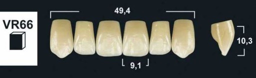 [GBVR66-C2U] VR66 C2 UPPER ANTERIOR TRIBOS TEETH
