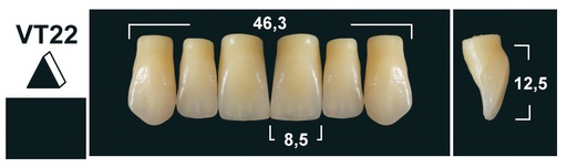 [GBVT22-A2U] VT22 A2 UPPER ANTERIOR TRIBOS TEETH