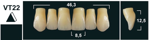 [GBVT22-BL3] VT22 BL3 UPPER ANTERIOR TRIBOS TEETH