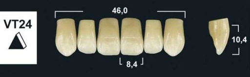 [GBVT24-D4U] VT24 D4 UPPER ANTERIOR TRIBOS TEETH