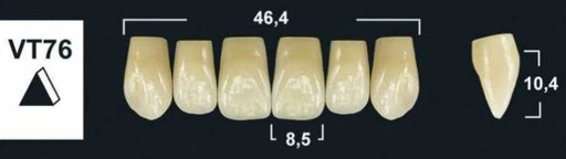 [GBVT76-B4U] VT76 B4 UPPER ANTERIOR TRIBOS TEETH