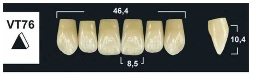 [GBVT76-BL3] VT76 BL3 UPPER ANTERIOR TRIBOS TEETH