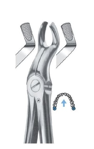 [HMHSA02476] EXTRACTION FORCEPS UPPER ROOTS 76