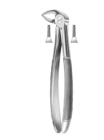 [HMHSA06033] EXTRACTION FORCEPS LOWER ROOT FIG 33