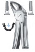 [HMHSA33338] EXTRACTION FORCEPS CHILD LOWER CENTRAL CANINE 38