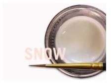 [JSCM0857] MIYO SNOW FLUOR PASTE 4G