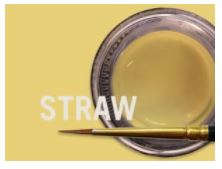[JSCM0862] MIYO TRANS STRAW FLUOR PASTE 4G