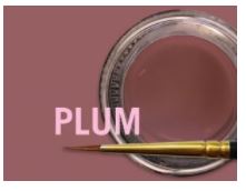 [JSCM0884] MIYO GINGIVAL PLUM PASTE 4G