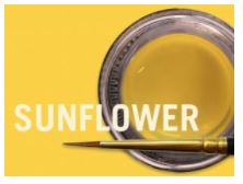 [JSCM0950] MIYO TRANS SUNFLOWER FLUOR PASTE 4G